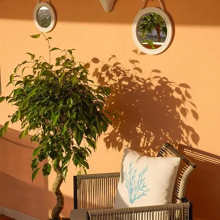 Apartment Paradise Seaview